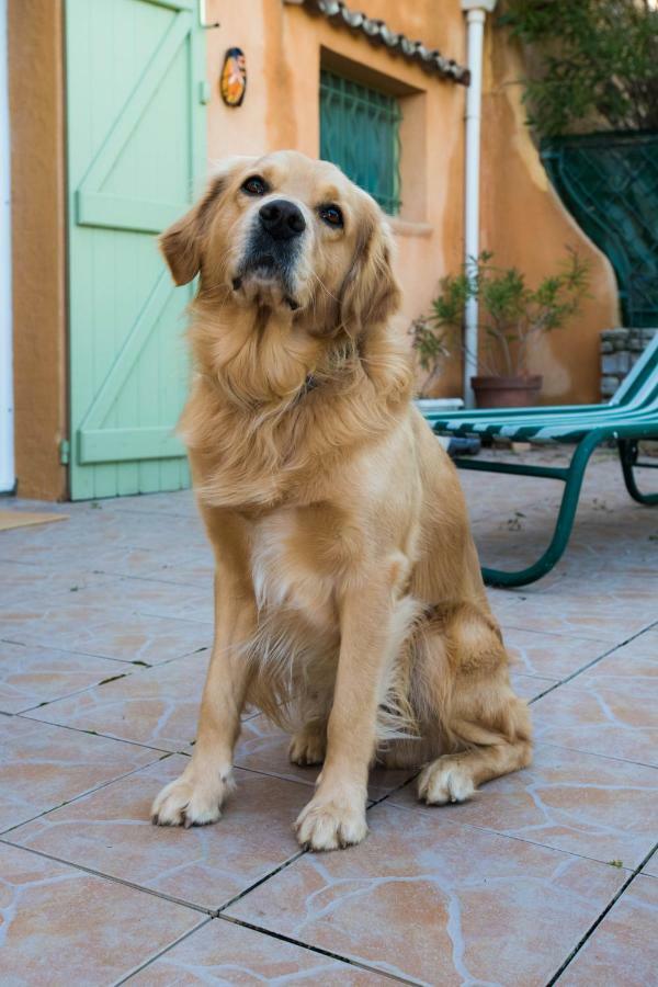 B&B Chez Max Figanieres ภายนอก รูปภาพ